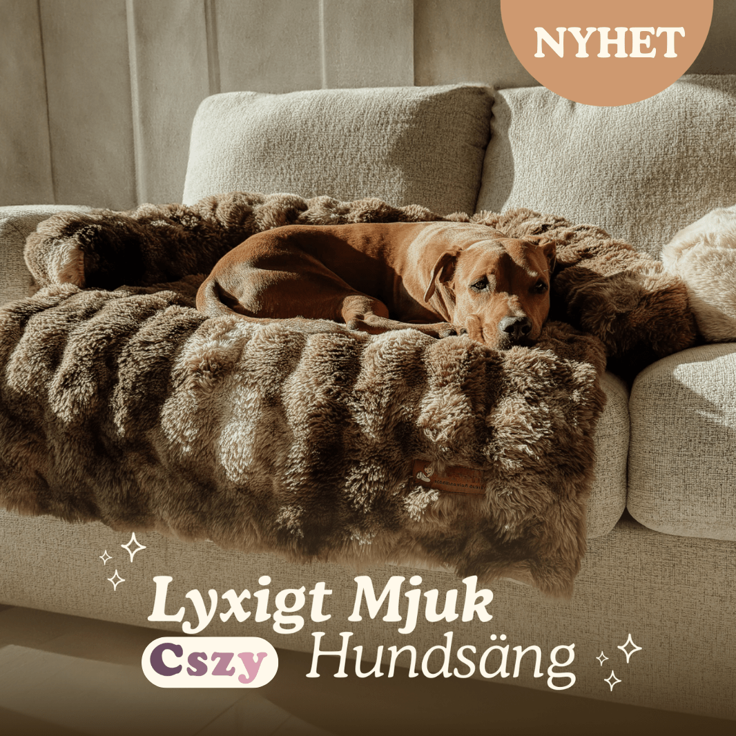 Cszy Lyxig Mysig Hundsäng - Cszy
