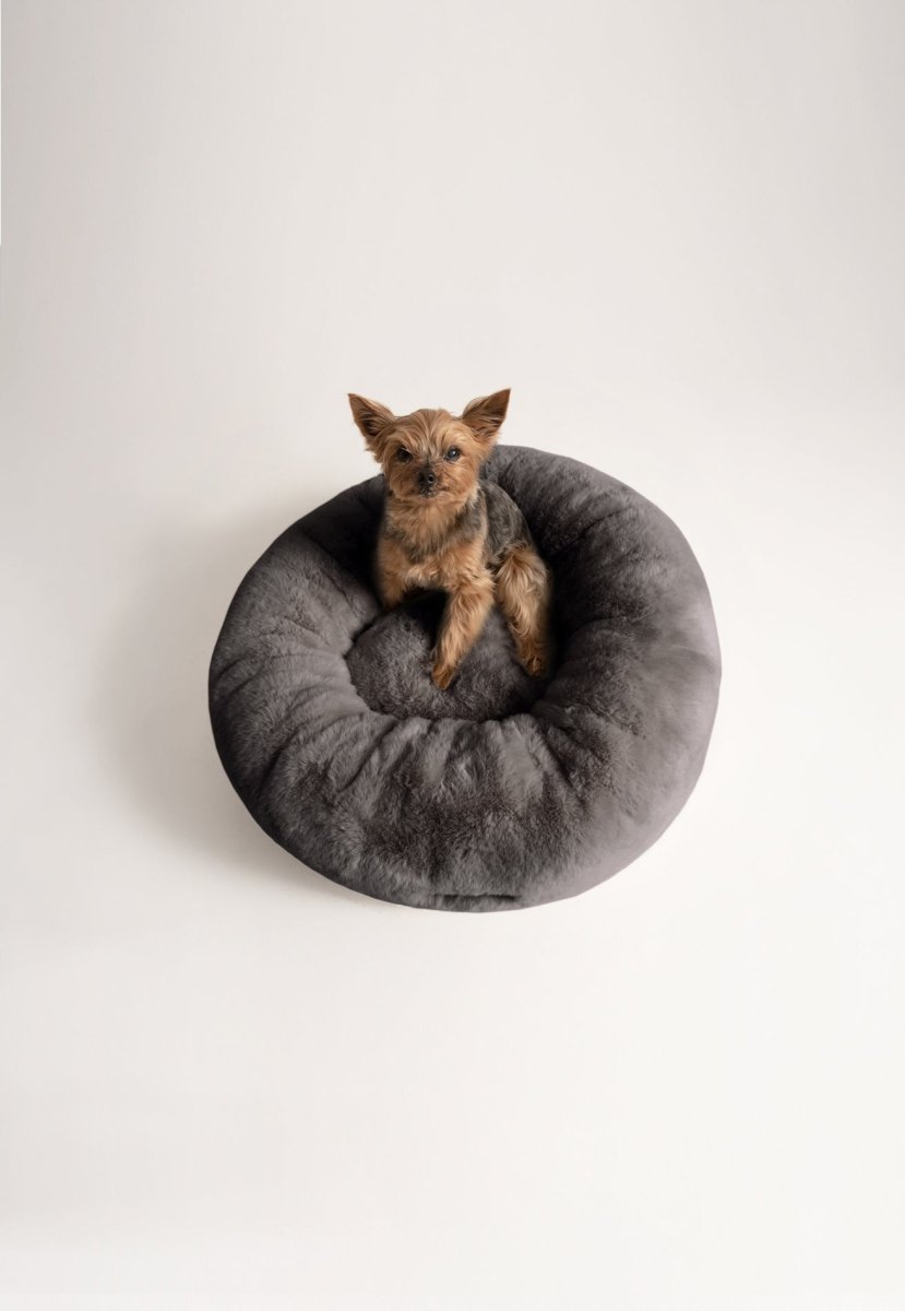 Floof Rund Husdjurssäng - Cszy
