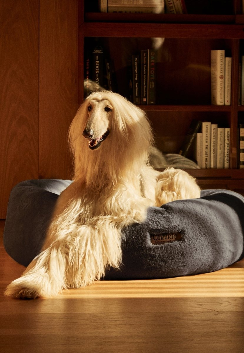 Floof Rund Husdjurssäng - Cszy