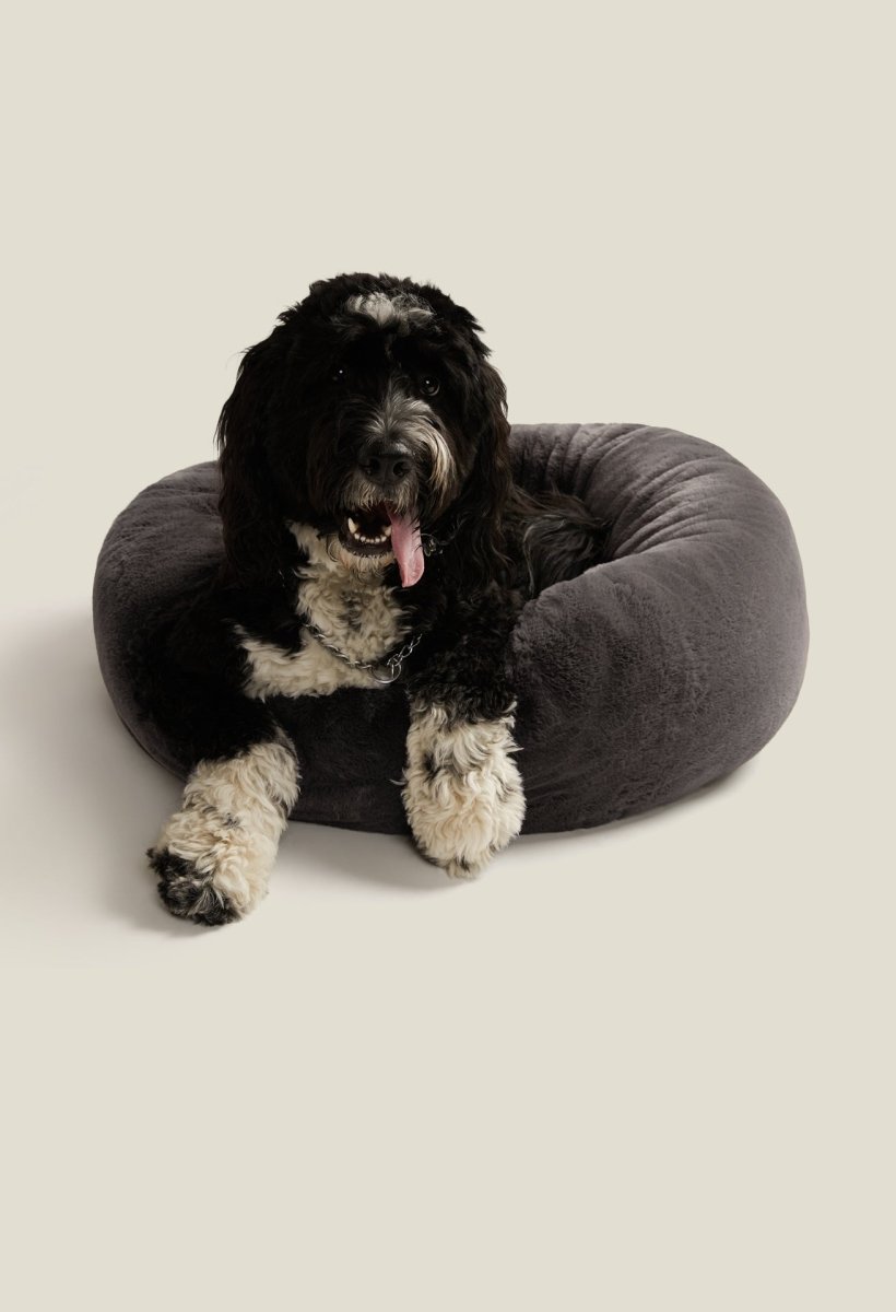 Floof Rund Husdjurssäng - Cszy