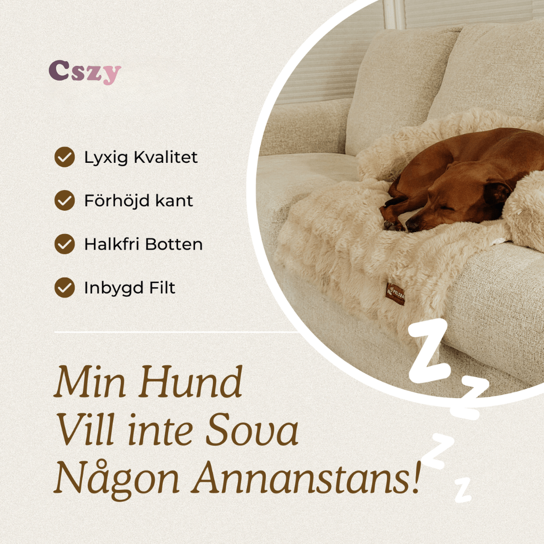 Cszy Lyxig Mysig Hundsäng - Cszy
