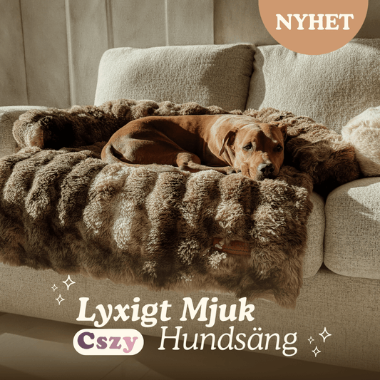 Cszy Lyxig Mysig Hundsäng - Cszy