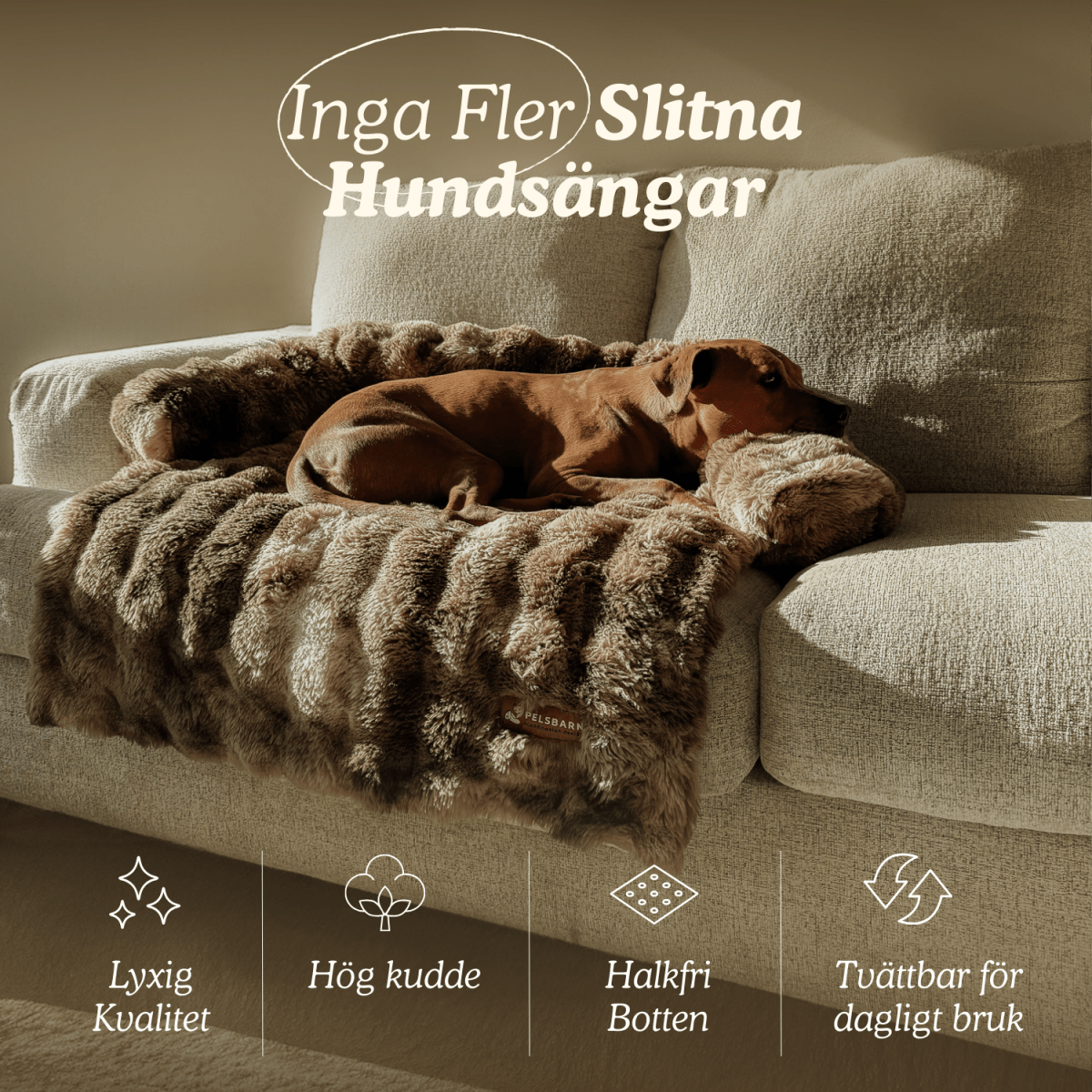 Cszy Lyxig Mysig Hundsäng - Cszy