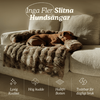 Cszy Lyxig Mysig Hundsäng - Cszy